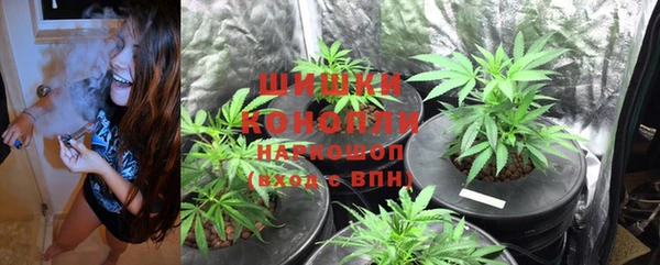 бутират Мегион