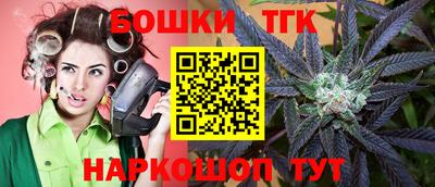 спиды Бийск