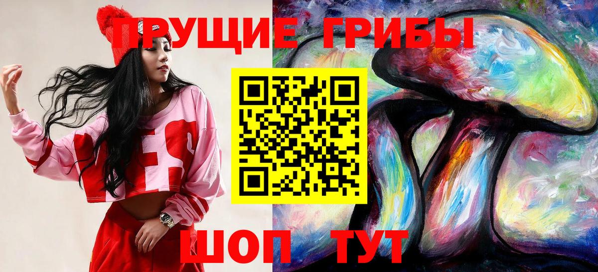 цены   Ессентуки  Псилоцибиновые грибы MAGIC MUSHROOMS 