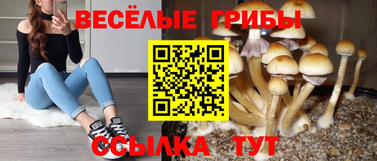 цена   Галлюциногенные грибы ЛСД  Вход с VPN  Ессентуки 